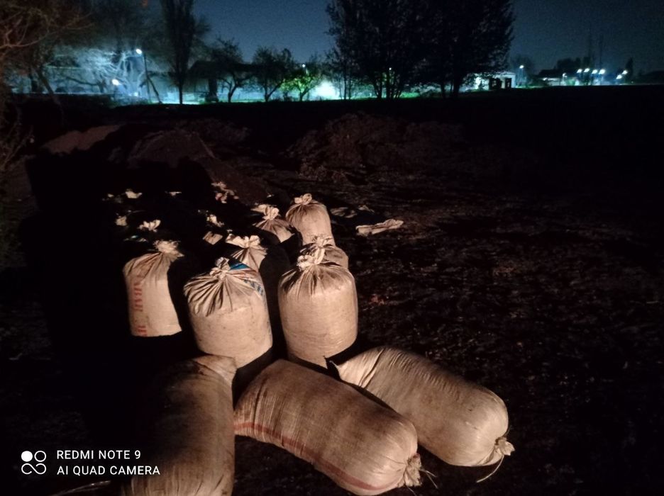 Biogomus yetkazib beriladi