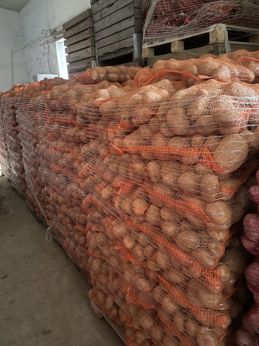 Cartofi rosu si alb la pret foarte convenabil