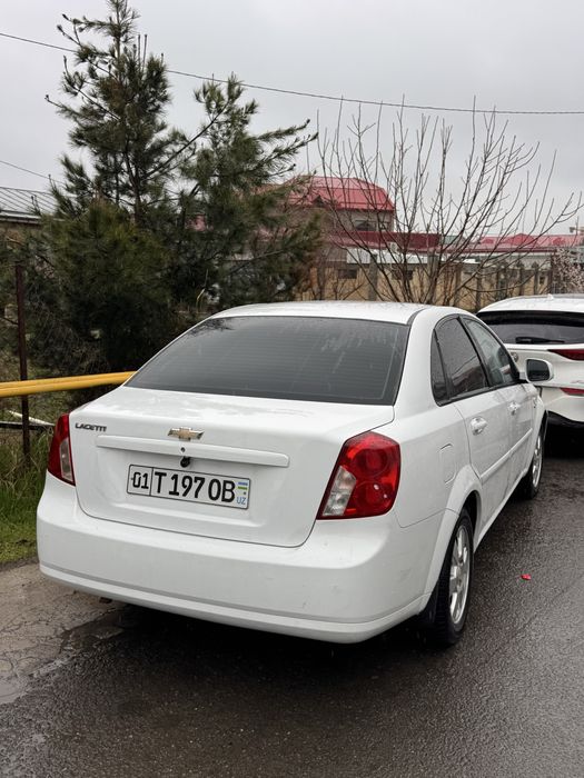 Jentra 2019 kraska bor