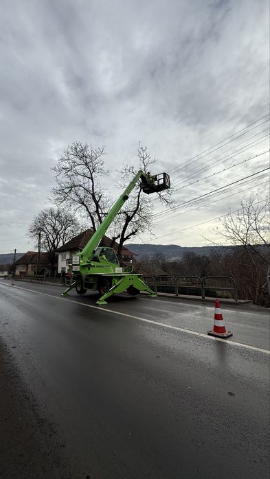 Taiere profesionala a arborilor/ copaci Targu Mures Platforma de lucru