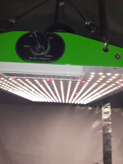 ViparSpectra SP 2000 200W