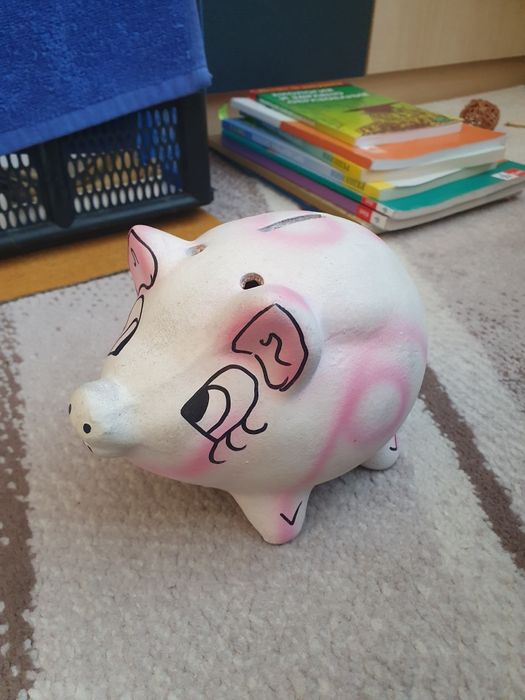 Касички розово прасенце