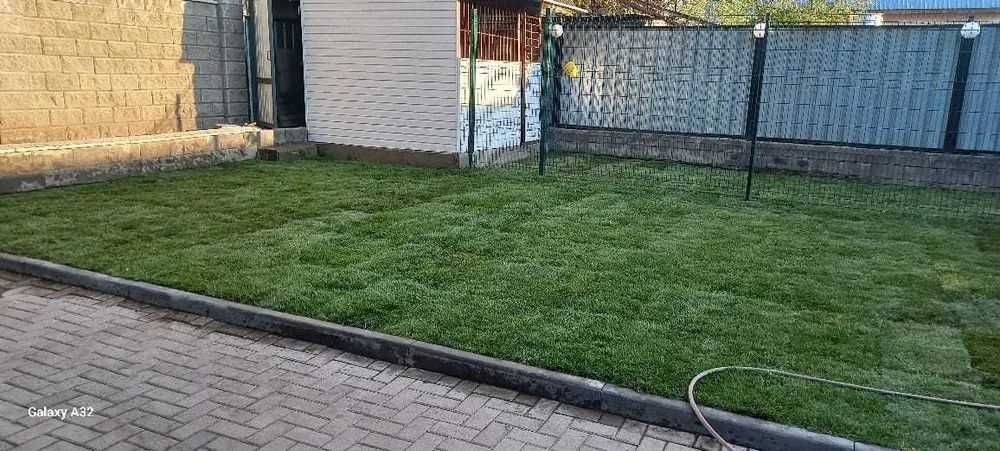 Озеленение участка посадка туй елей газон автополив