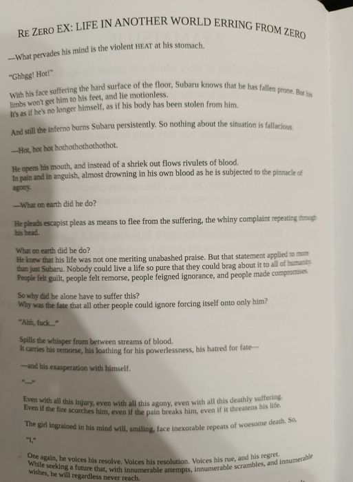 Re Zero IF stories Light Novel