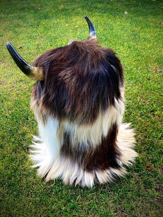 Кукерска   Маска