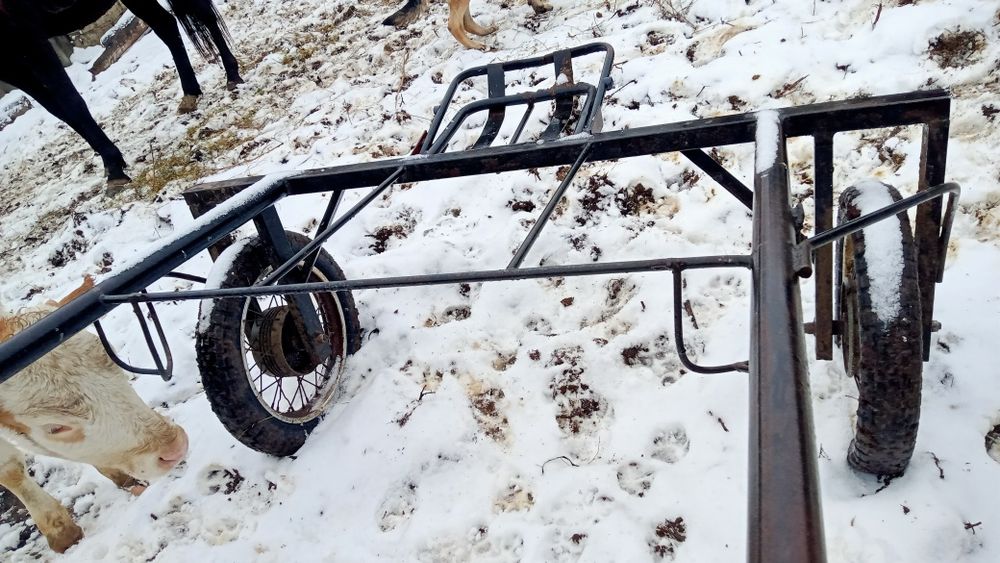 Продаю качалку для лошадей