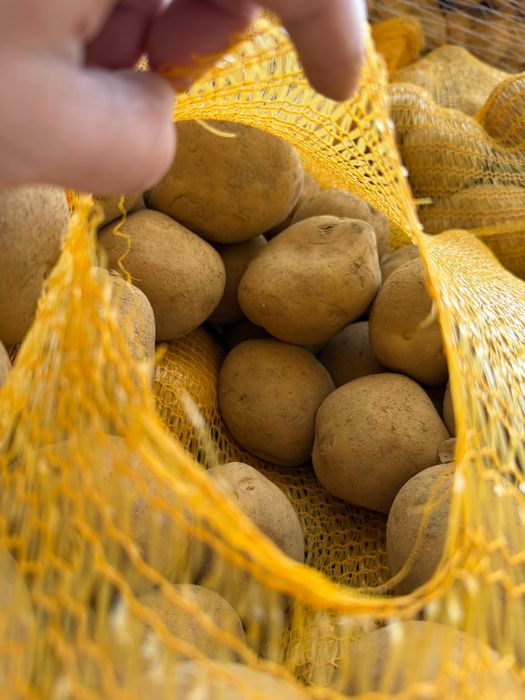 Cartofi EN-GROS calibru 70+ Belgia – Germania – Franța | Spălați 10 kg