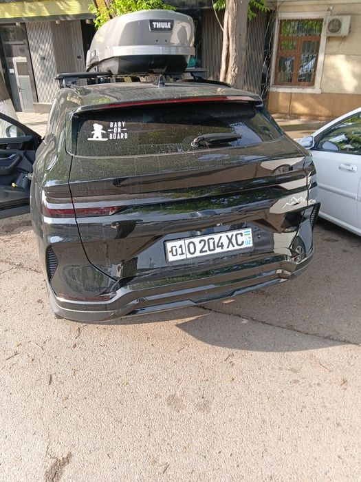 Other Song Pro DM-i Champion 2024 — 4