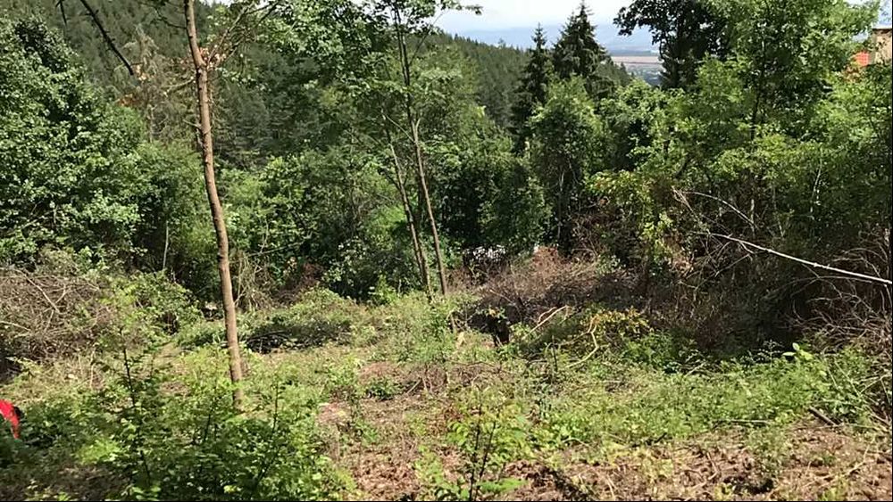 УПИ в гр. Банкя, вилна зона Градоман
