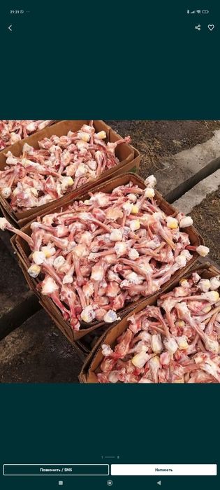 Колбаса для собак и кошек