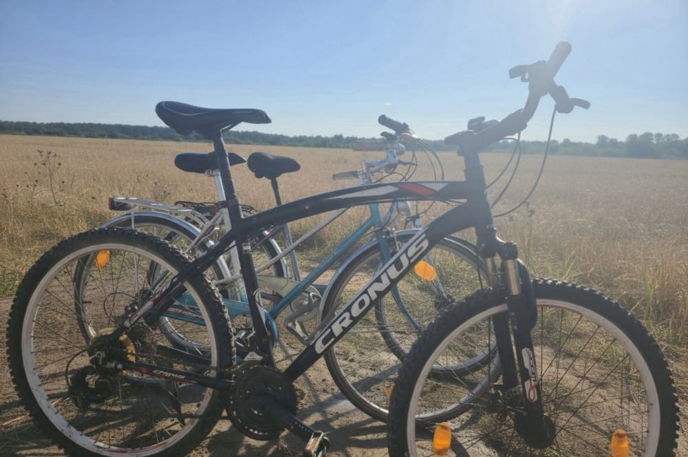 Biciclete de vanzare in stare buna.