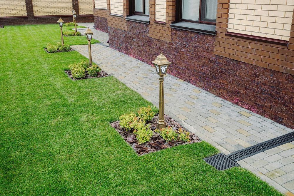 Озеленение | газон | автополив