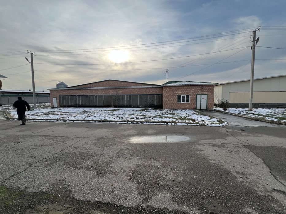 Tovuqxona va xizmat binolari