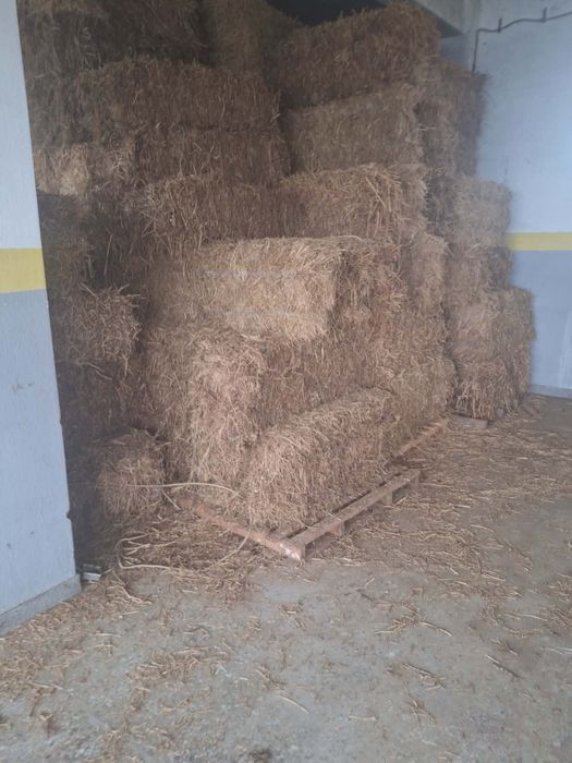 Люцерна доставка на място