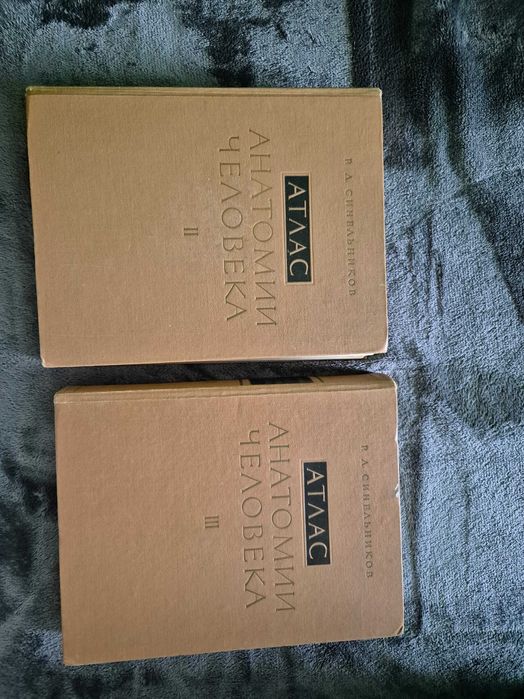 Синелников атласи по анатомия