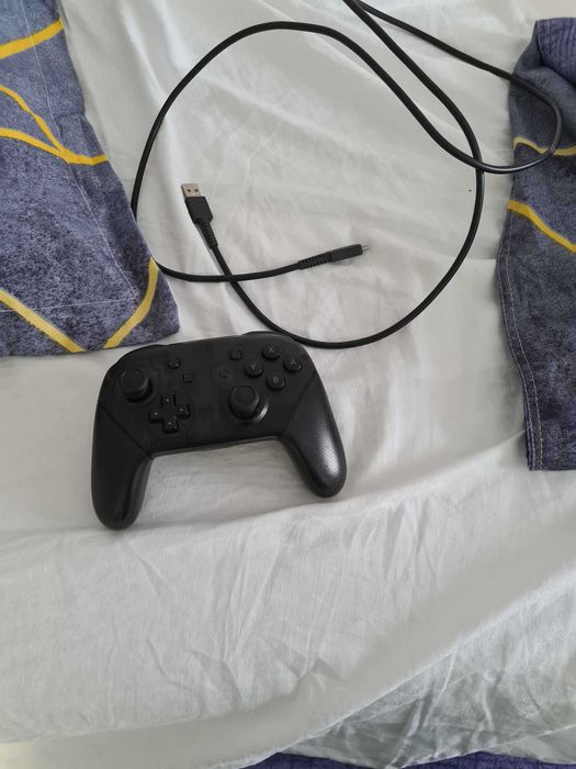Nintendo Switch Pro Controller