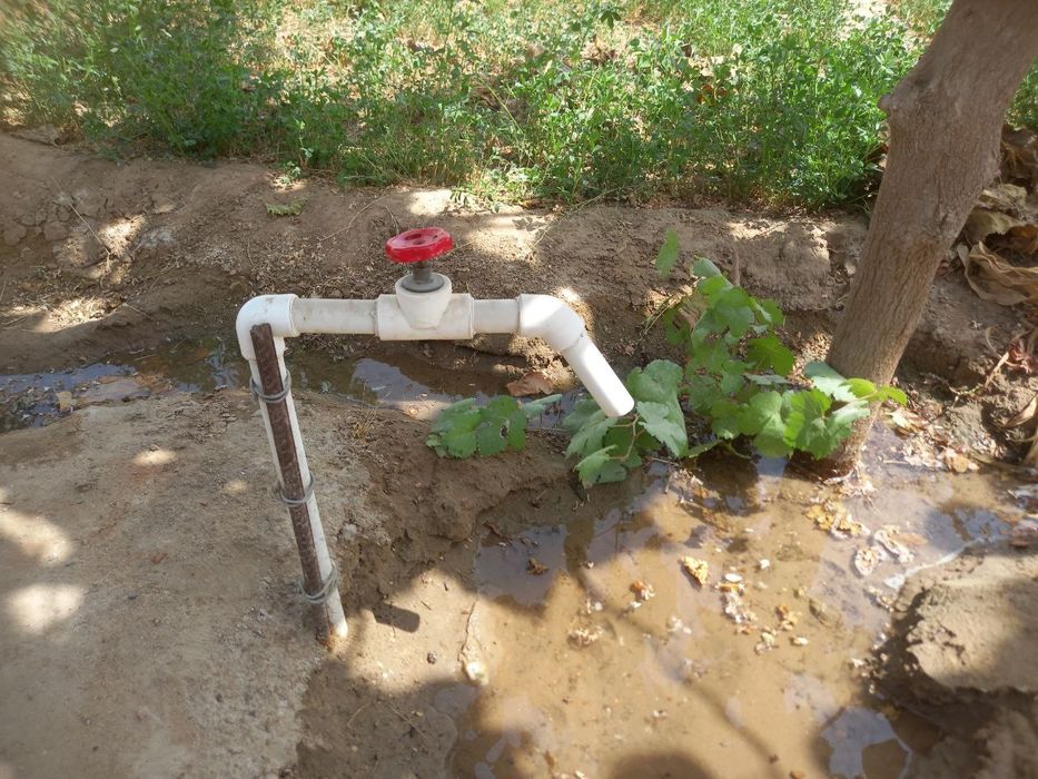 Manzil Surxondaryo viloyati Jarqo‘rg‘on tumani Qo‘shtepa Mahallasi.