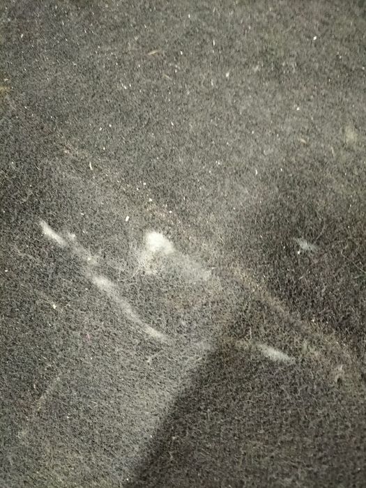 Кора багажник Skoda Roomster / Шкода Руумстър 2010г.