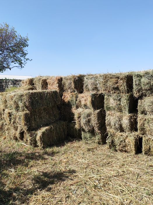 Beda  Makka sorgo aralash press sotiladi.
