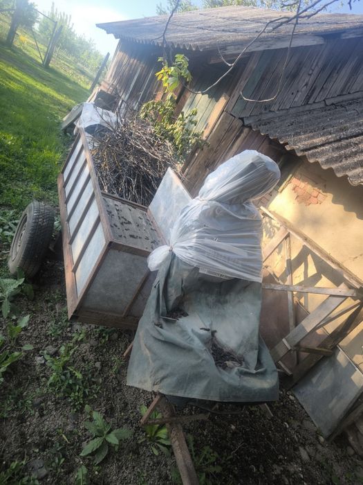 Vand Motocultor Ruris 915 cu remorca facuta!