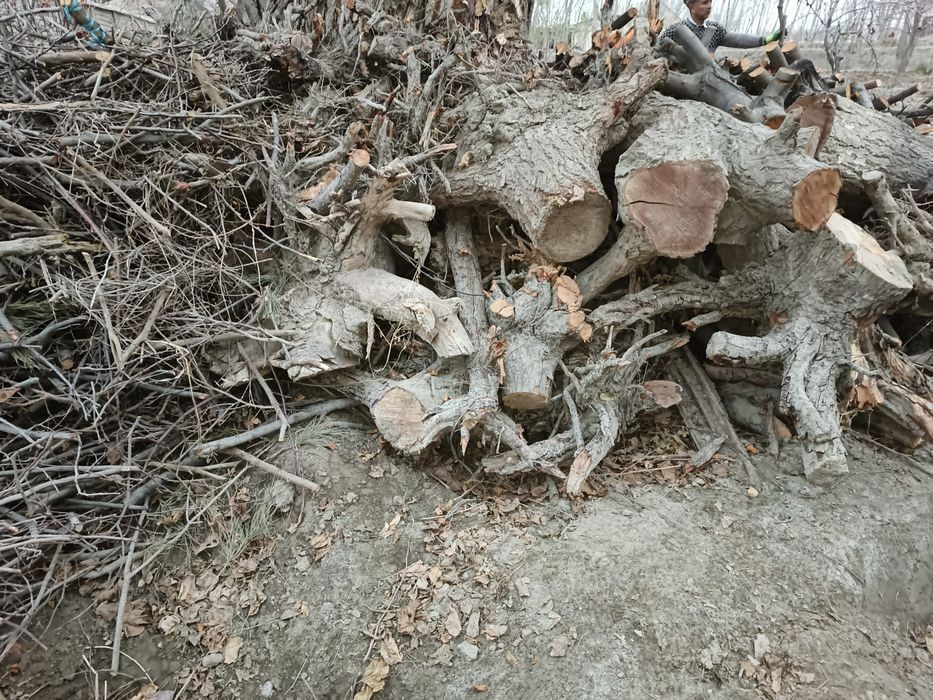 Bir ISUZU yuk moshin o'tin va kunda bor. Narxi 3 mln (bo'lishi shu).