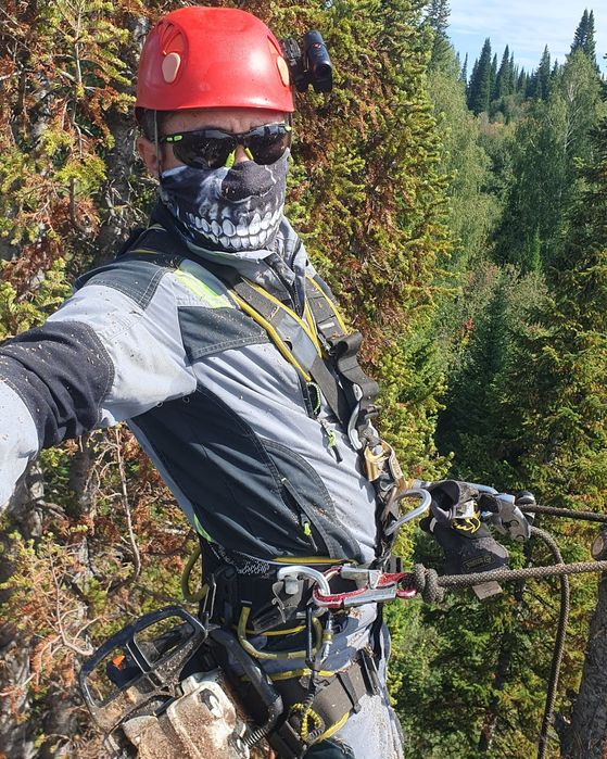 Спил подрезка аварийных деревьев.