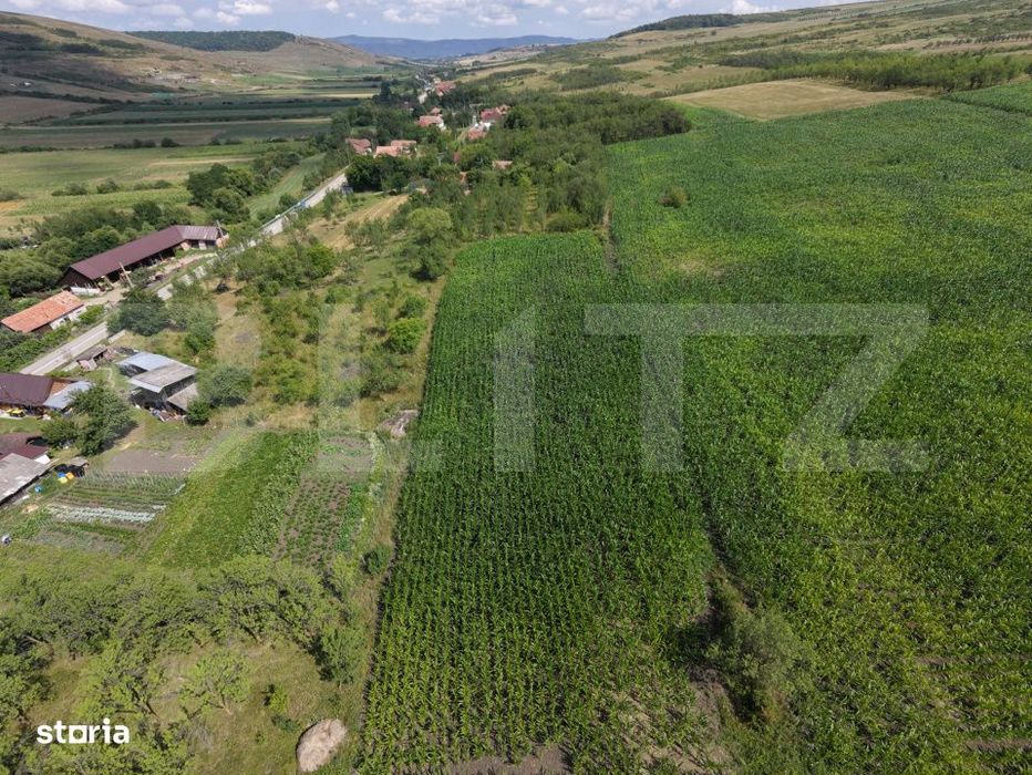 Teren cu casa veche de Vanzare in Lujerdiu, com. Cornesti
