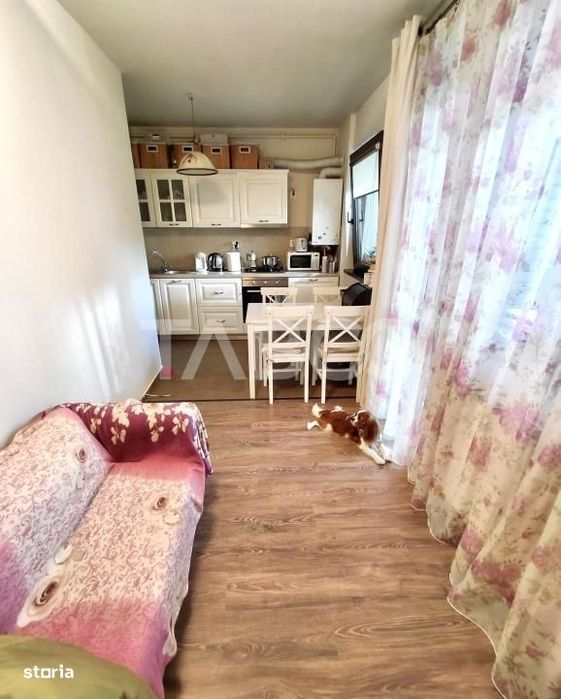 Apartament cu 2 camere decomandat de vanzare in Borhanci cu terasa