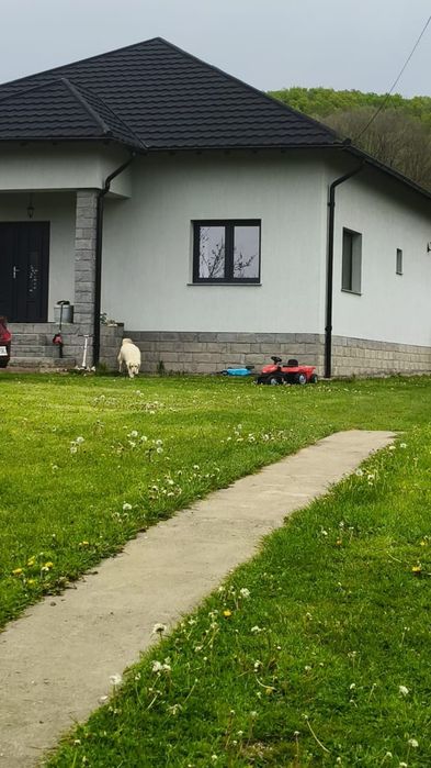 Prahova Casă 127 mp + teren 10.000 mp | Lângă pădure | Mobilată și utilată