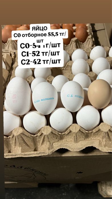 Напитки и масла оптом