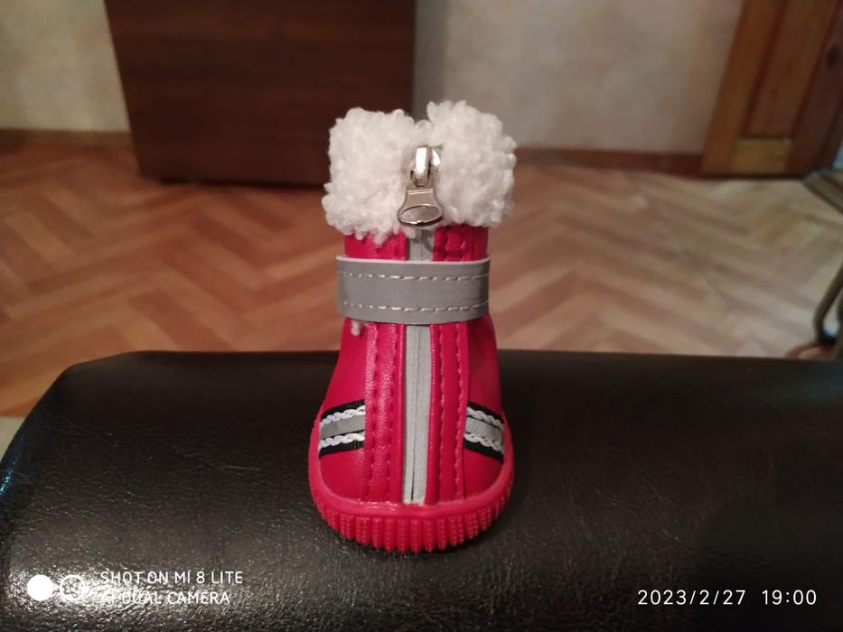 Собачьи башмаки.