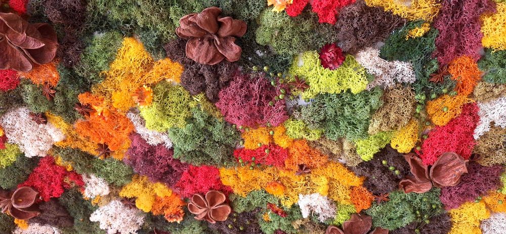 Декорация за дома - картинно есенно пано от естествени материали