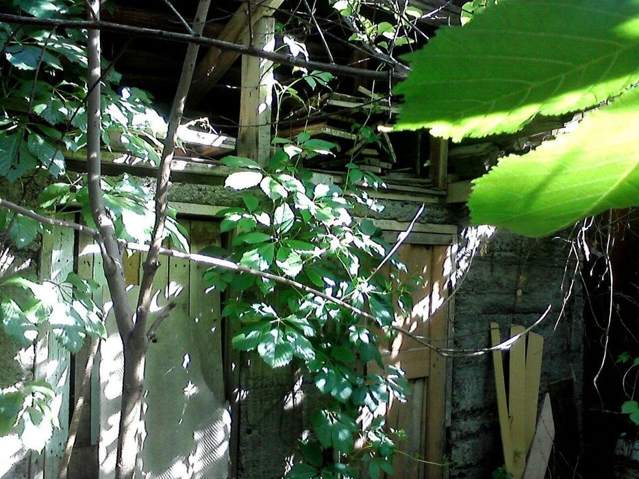 Продам дачу. Дом 2 комнаты. Баня