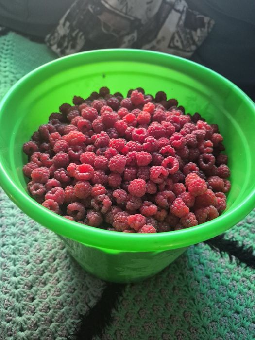Продам малину 5 литр