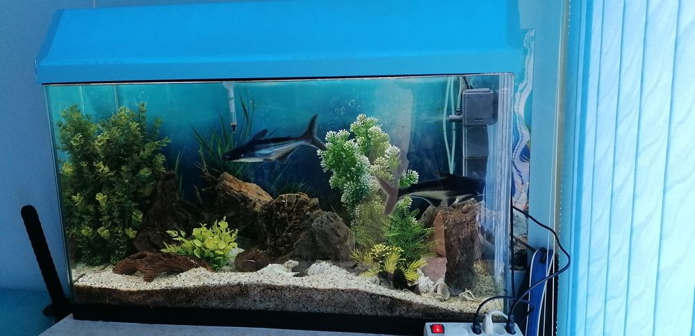 Аквариум оборудване