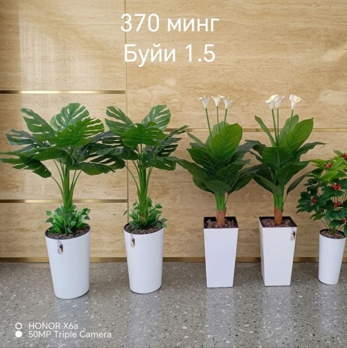Навои шахр.Нархлари 160 мингдан бошлаб. Декоратив суний гуллар. Ассорт
