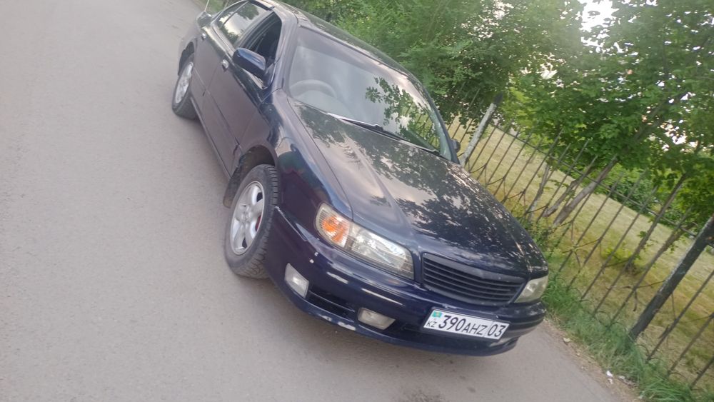 Продам цефирика на полном ходу