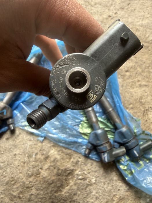 Фарсунки на хунда