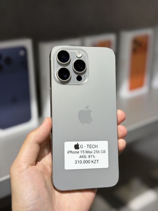 iPhone 15 Pro Max / 256 / 81%