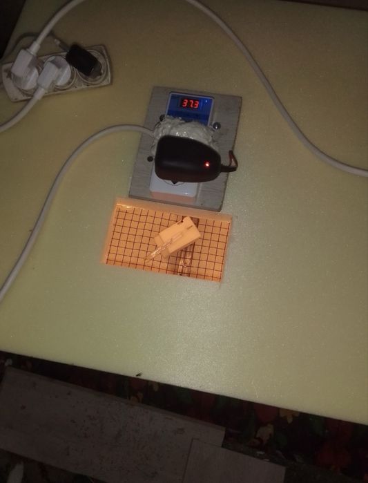 Инкубатор балапанға арналған