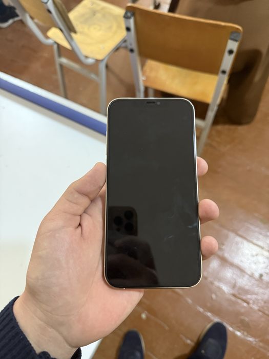 Iphone 12 Pro Max