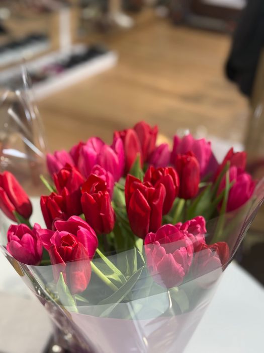 Продам Цветы тюльпаны