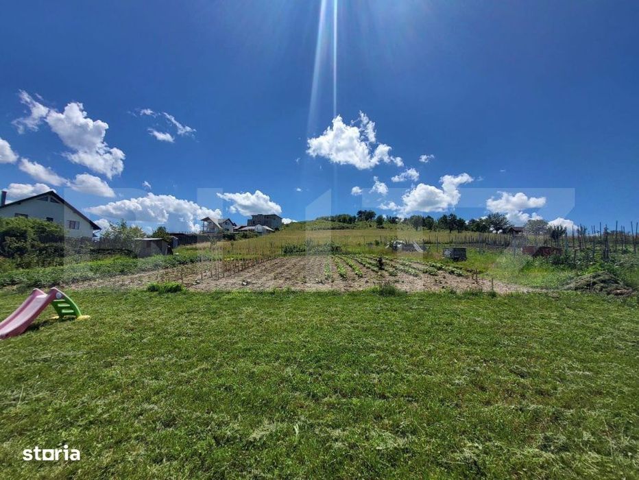 Teren 1400 mp – Viitor Intravilan, Zona Drumul Tarpiului - LEONI