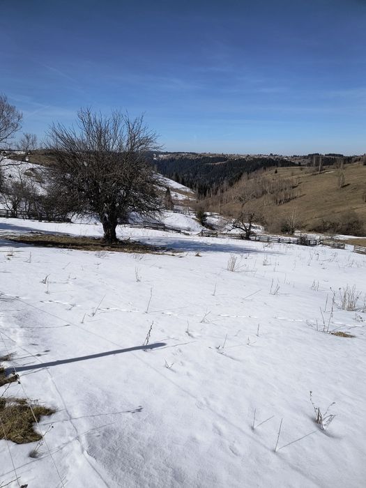 Vând teren în Măguri!