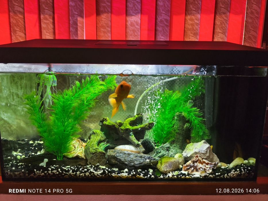 Vând acvariu 60L complet
