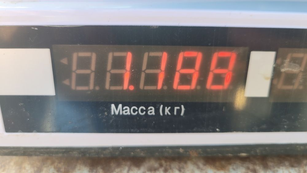 Бедана гушти бор кг 80 000 сумдан