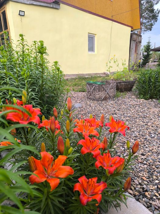 Продам дачу в районе Понтонного моста