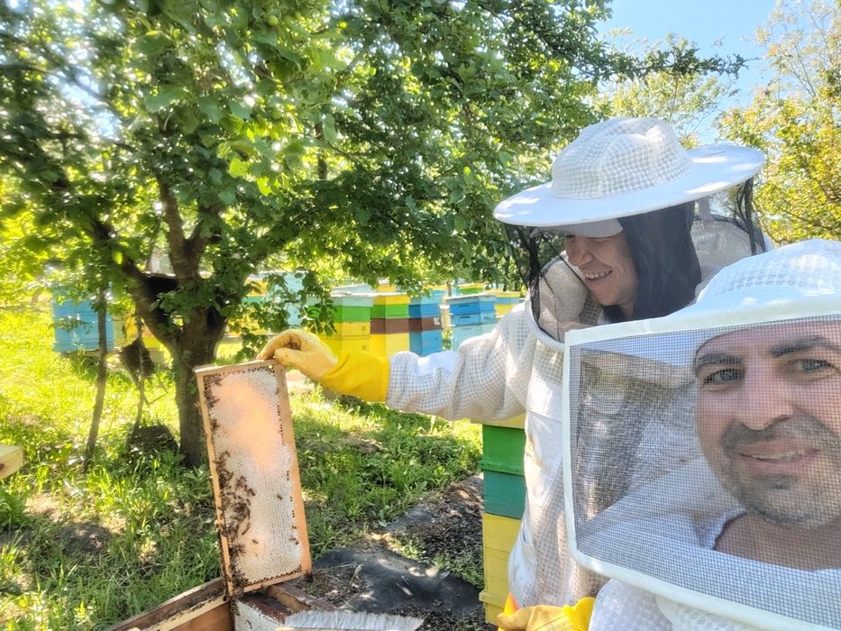 Пчелен мед от рапица