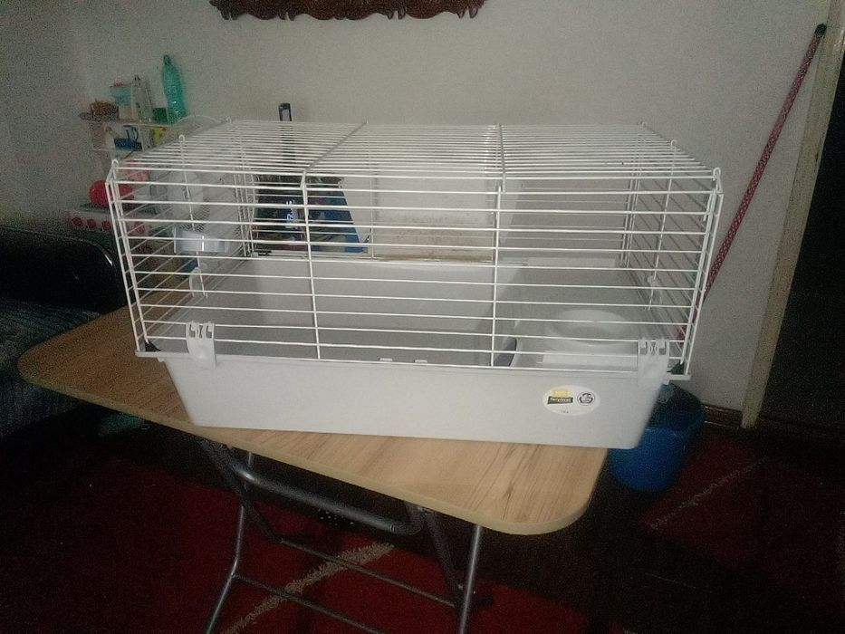 Vand cusca pentru animale!