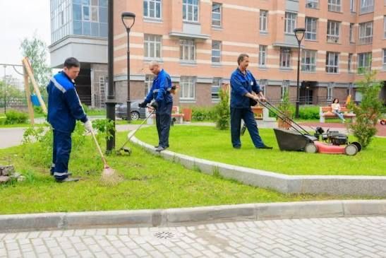 Спил деревьев Уборка территории Вывоз мусора
